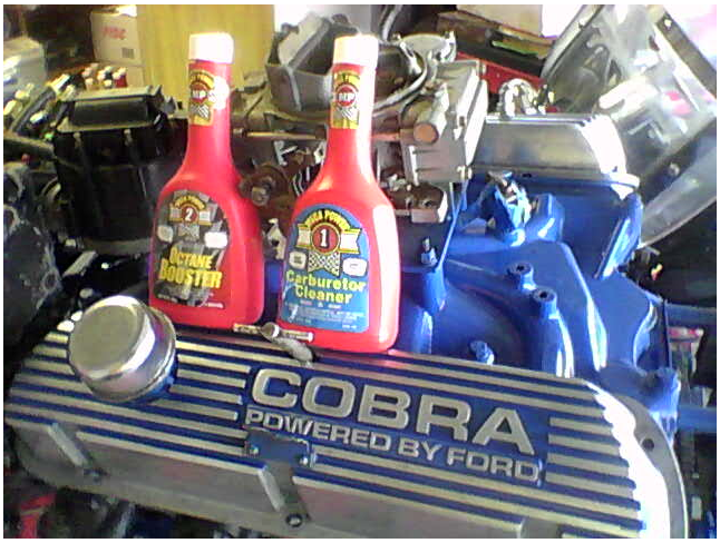 Mustang Engine cobra kitted